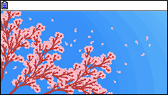 Le cerisier en fleurs