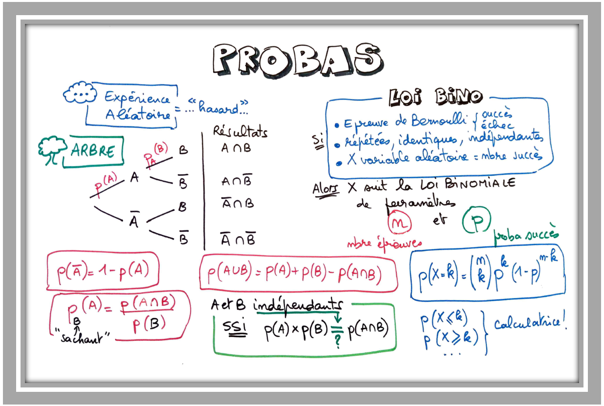 Fiche de révision BAC : les probabilités